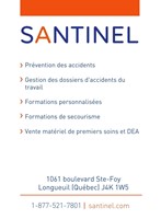Santinel